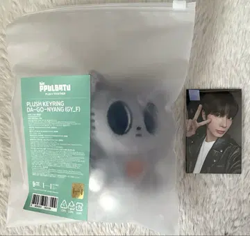 뿔바투 다고냥 PLUSH KEYRING 태현 트레이딩 카드 포함