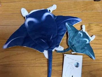 센스 오브 원더 시리즈 태어나요 만타 AQUA