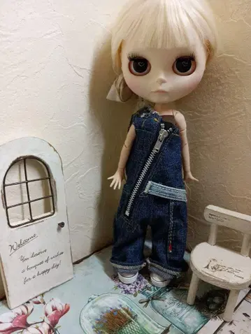 브라이스 데님