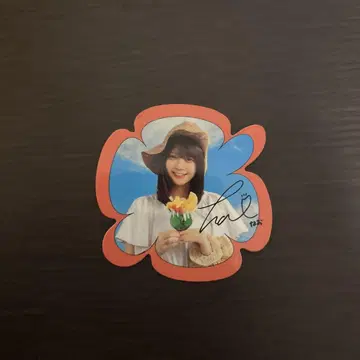 노기 카페 토미사토 리나