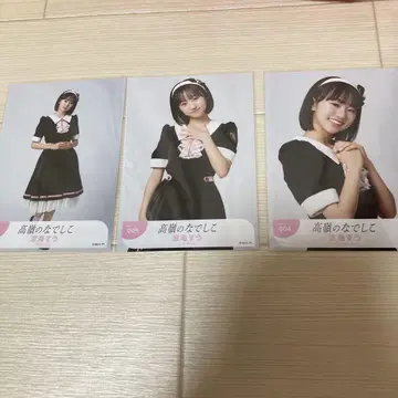 타카네노 나데시코 스즈미 스우 브로마이드 안티팬