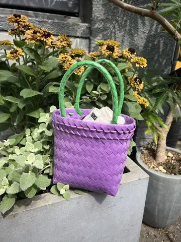 mini pasar bag (purple x green) 카고바