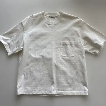 AURALEE 오라리 STAND-UP TEE