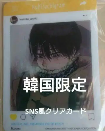 빛이 죽은 여름 한국 SNS풍 클리어 카드