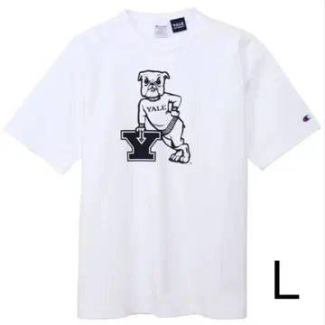 Champion T1011 숏 슬리브 셔츠 25 SS YALE