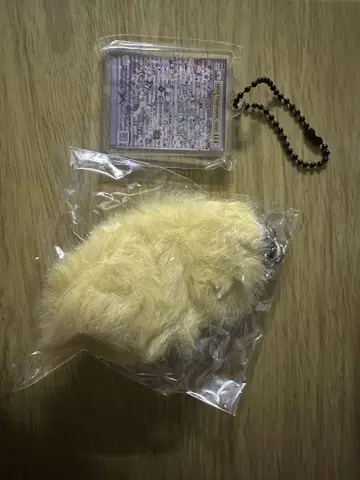 XG 캡슐 토이 CHISA 2세트