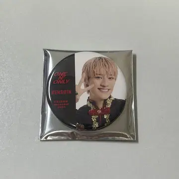 카미무라 켄신 KENSHIN 캔뱃지