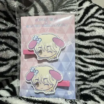 SEVENTEEN 산리오 멀티 클립 정한