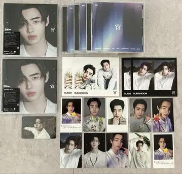 ENHYPEN 덧  CD 트레이딩 카드 11장 세트 (38)