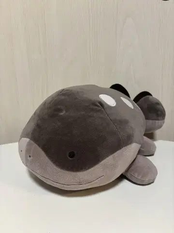 포켓몬스터 포켓몬 모후굿토 봉제 인형 도오