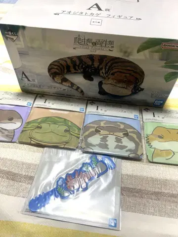 제일복권 파충류&양서류 A상 블루텅 스킨크 외