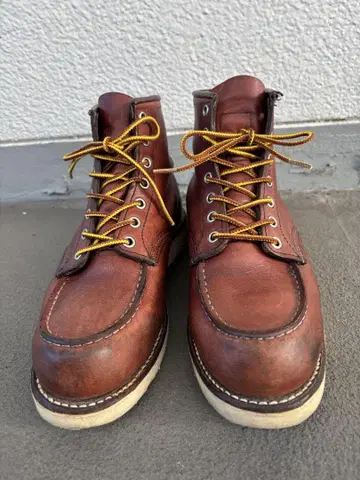 RED WING 9106 아이리쉬 세터