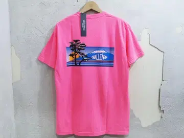 레어 새상품 CHALLENGER NATURE JPN TEE 셔츠