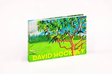 DAVID HOCKNEY 아트북 도록