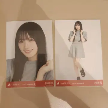 노기자카46 카와사키 사쿠라 맨투맨 요리 히키 미야기 브로마이드