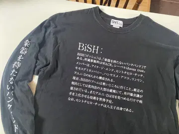 BiSH DiCTiONARY 롱T 사이즈 XL WACK 아유니 D