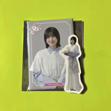 마토노 미오 사쿠라자카 카페 세트