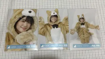 히나타자카 니부 아카리 동물 인형옷 세미콘