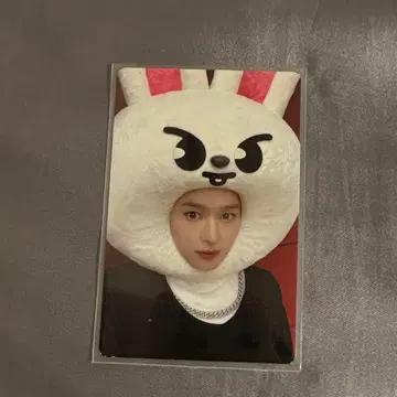 maxident JYP 혜택 리노 skzoo