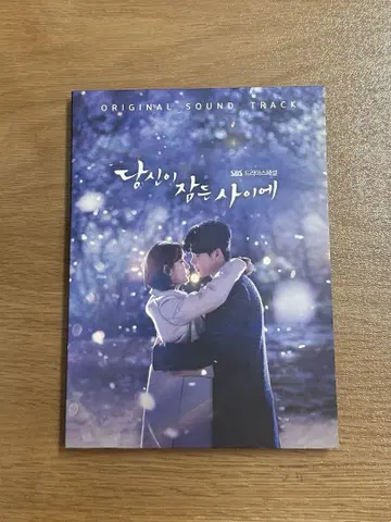 당신이 잠든 사이에 OST 특별판