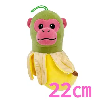 침팬지니바나니니