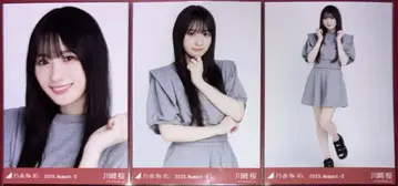노기자카46 카와사키 벚꽃 브로마이드 컴프 맨투맨