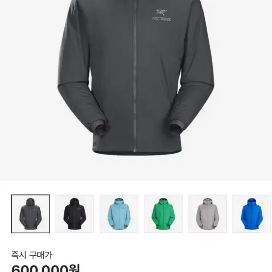 ARC'TERYX | 아크테릭스 Arc'teryx Atom LT Hoodie Glitch L on