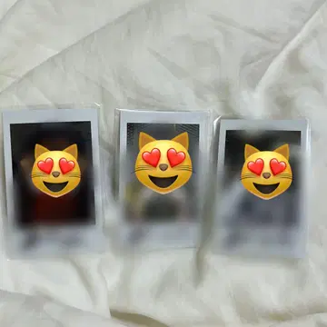 AMPERS&ONE 브라이언 사인 폴라로이드