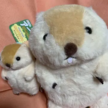 마모트의 못톳토 컴팩트 JB.T 봉제 인형 (20cm) & 마스코트