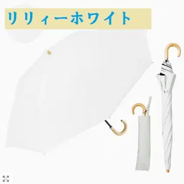 2WAY 접이 cokage+ 워터프론트 코카게플러스 55cm 도레이