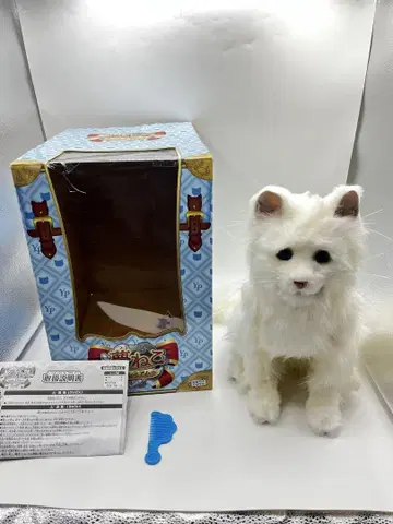 꿈 고양이 프리미엄