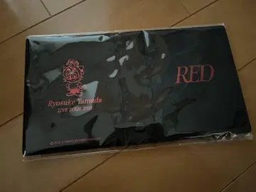 Ryosuke Yamada 야마다 료스케 RED 카드 홀더