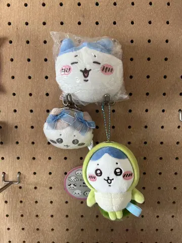 치이카와 수족관 바다거북 하치와레 마스코트 하치와레 가마구치