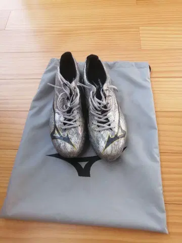 미즈노 알파 2 재팬