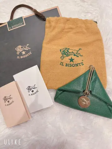 IL BISONTE 그린 코인 케이스
