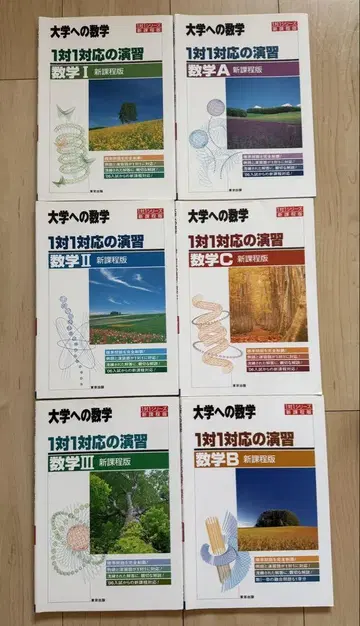 대학으로의 수학 1대1 대응의 연습 수학I A II C 신