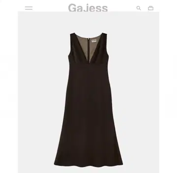 Gajess Glossy Dress