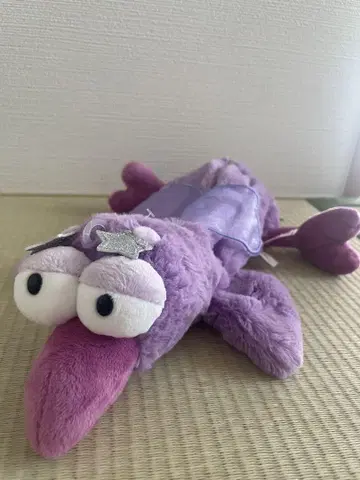 NICI 니키 피규어 파우치 스타 페어리 벌새 한정 PLAZA