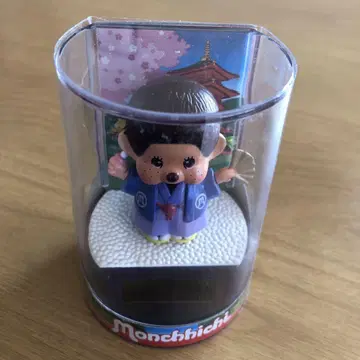 몬치치 솔라