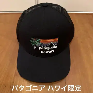 Patagonia 파타고니아 메쉬 캡 할레이와