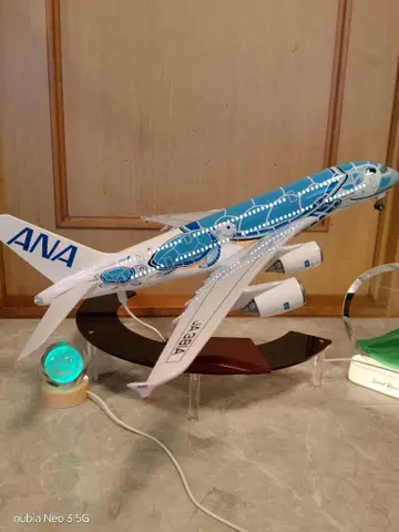 8/3 - Airbus/a380 ANA 플라잉 호누 블루 약 50cm