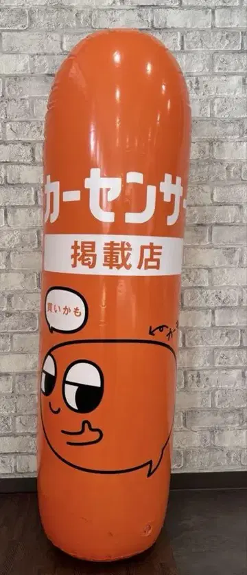 #1675 카센서 카모군 펀칭백