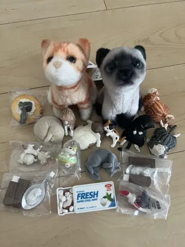 고양이 굿즈