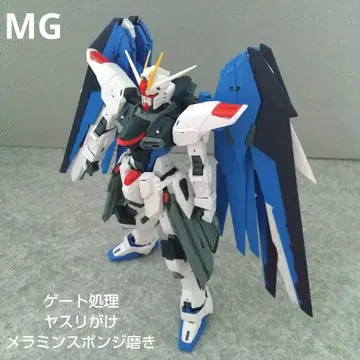MG 프리덤 건담 Ver.2.0