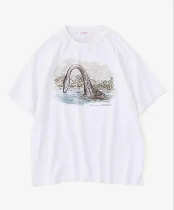 NICENESS 25AW G.BERNARD / Nessie
