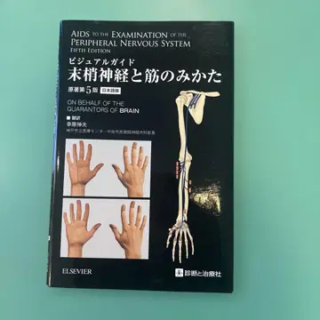 말초신경과 근육 보는 법 비주얼 가이드 무료배송