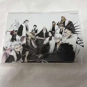 BLEACH EX. 풀 컬러 아트보드 호정 13대