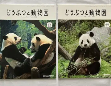 동물과 동물원 20권 우에노 동물원 샹샹 샤오샤오 레이레이 팬더