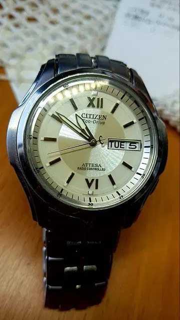 CITIZEN Eco-Drive ATTESA 실버 손목시계