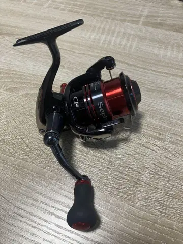 09 세피아 C3000S